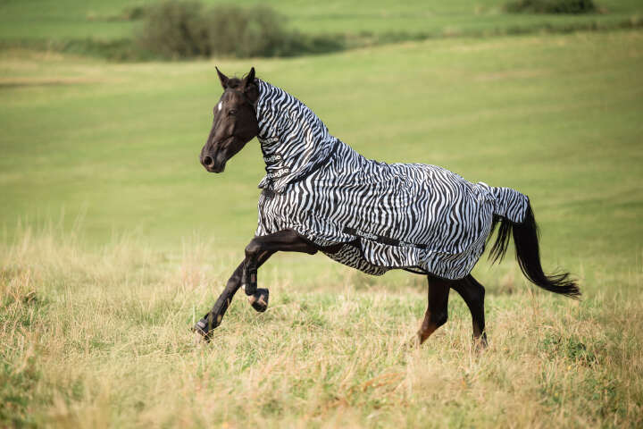 Covalliero Fliegendecke RugBe Zebra mit Halsteil